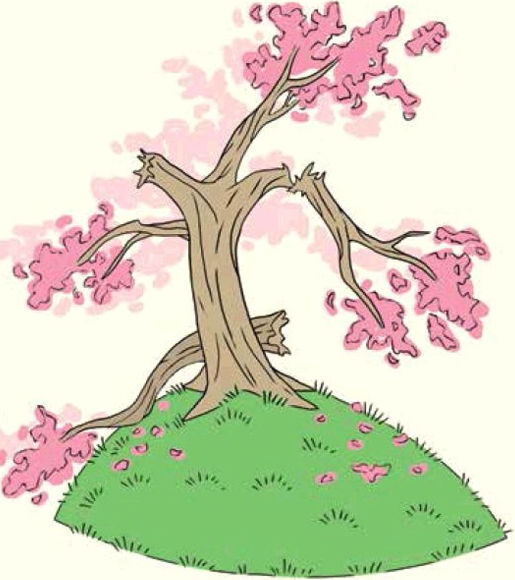 בתמונה: עץ הדובדבן השבור